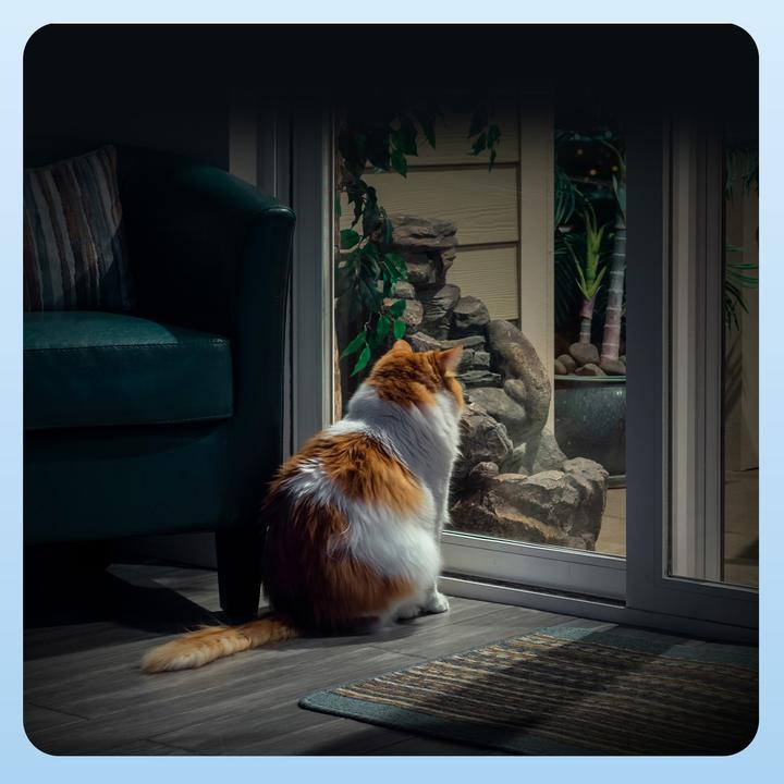 Actual product image EZVIZ H6c G1 3K (2880 x 1620 Pixels)