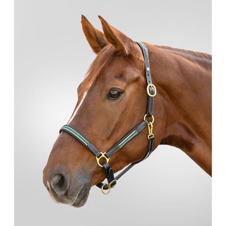 Immagine prodotto Waldhausen X-Line Oxford