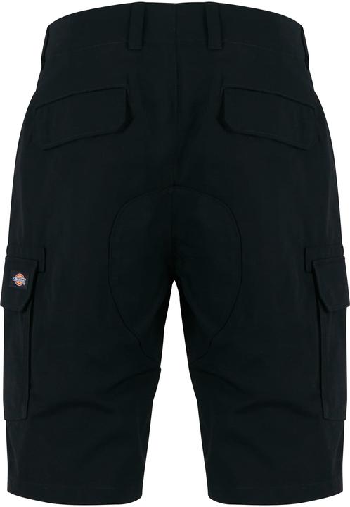 Actual product image Dickies Millerville Shorts (L)