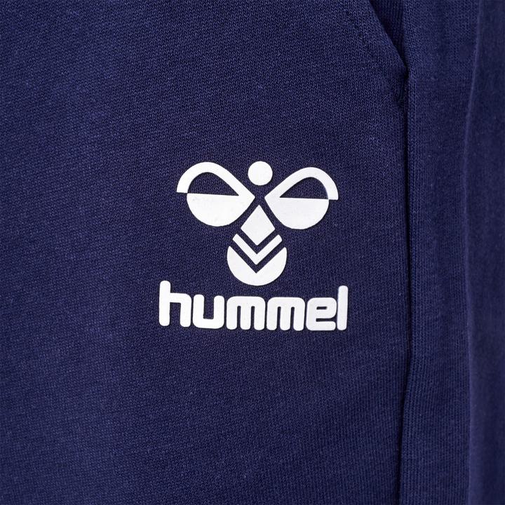Actual product image hummel Hmlicons Regular Shorts (XXL)