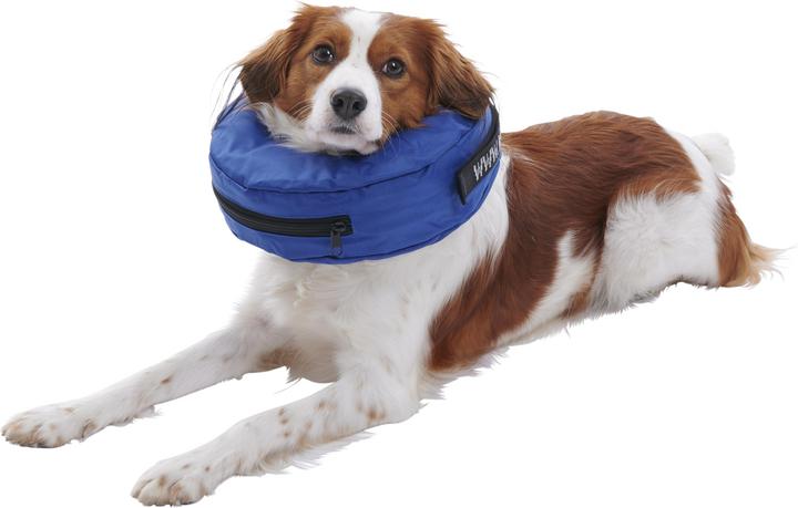 Produktbild Buster - Inflatable Collar - M - Nylon Blue (279731) (M, Hund, Hundesport)