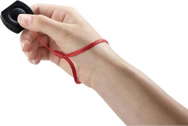 Actual product image Hama Pro II