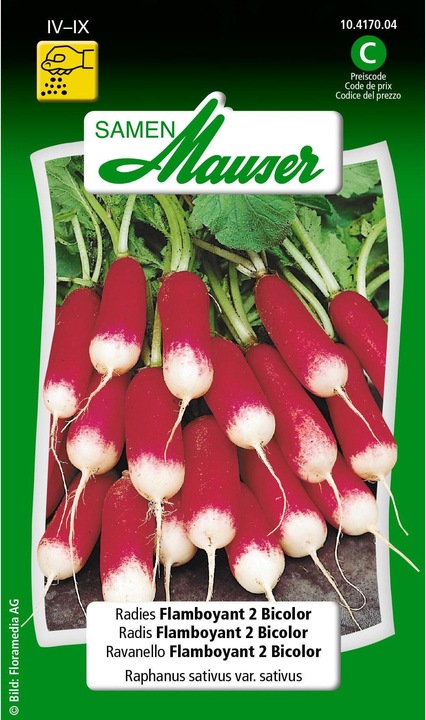 Image du produit Samen Mauser Radis Flamboyant 2 Bicolor (Graines de légumes)