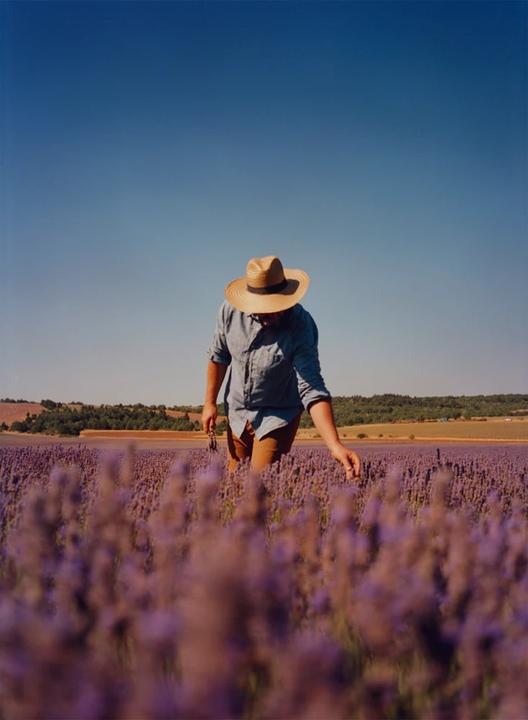 Produktbild L'Occitane Lavender Shower Gel (250 ml)