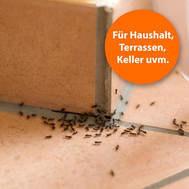 Image du produit Ardap Spray anti-fourmis Zerst. (500 ml)