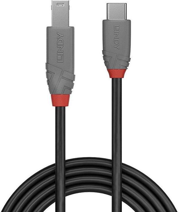Image du produit Lindy Câble USB 3.2 type C vers B, Anthra Line (0.50 m, USB 3.2 Gen 1)