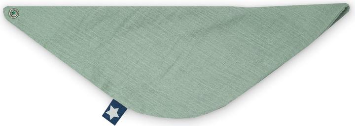 Image du produit Julius Zöllner Foulard triangulaire Mousseline Vert