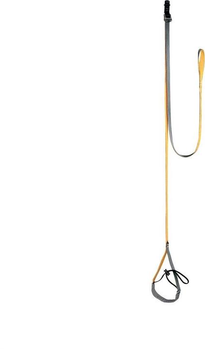 Actual product image Petzl Quickstep stepladder