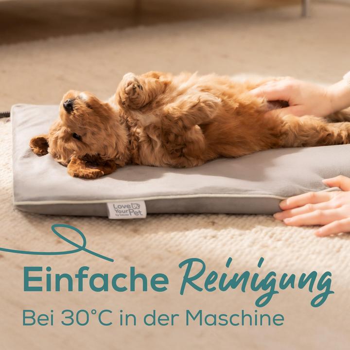 Produktbild Beurer PP 210 (Hund)