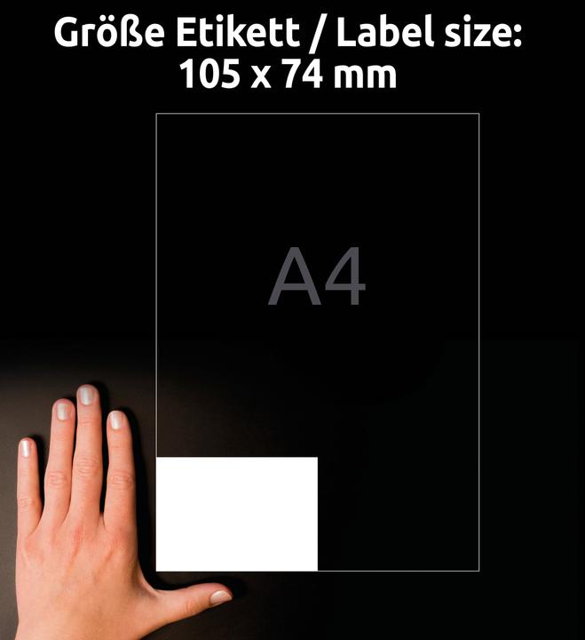 Actual product image Avery Universal labels