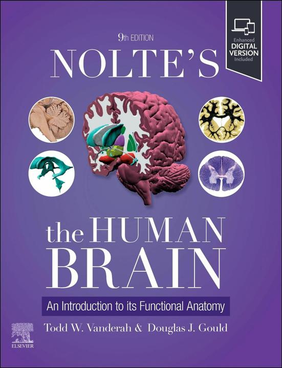 Produktbild Nolte's The Human Brain (Englisch, Todd W. Vanderah, Gould Douglas J., 2025)