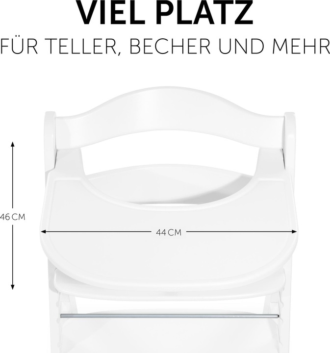 Image du produit Hauck Alpha Click Tray
