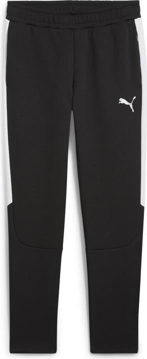 Actual product image Puma teamEVOSTRIPE Pants (XS)