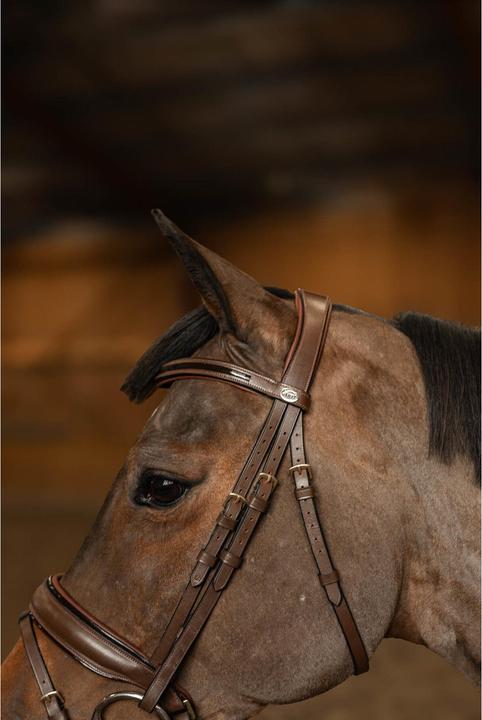 Actual product image HFI Master Edges