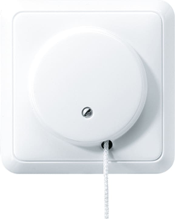 JUNG Pull switch