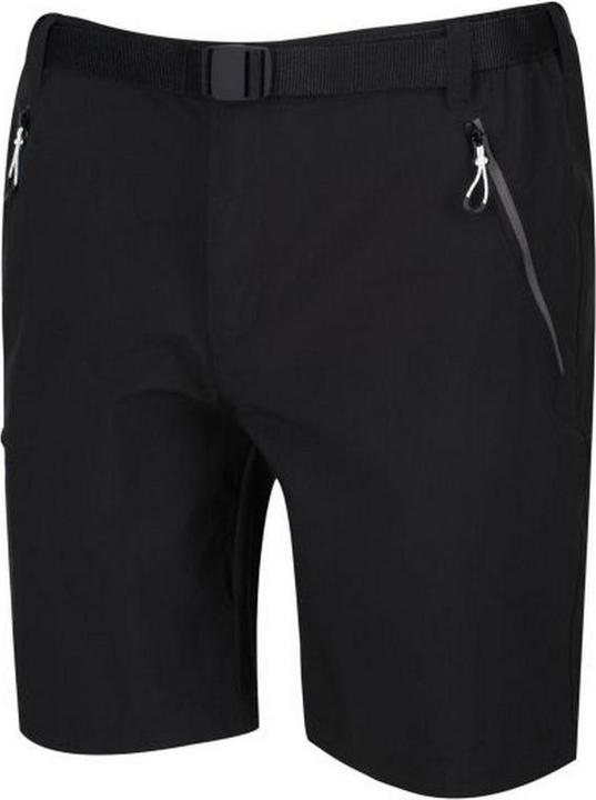Actual product image Regatta Mens Xert III Stretch Shorts (44)