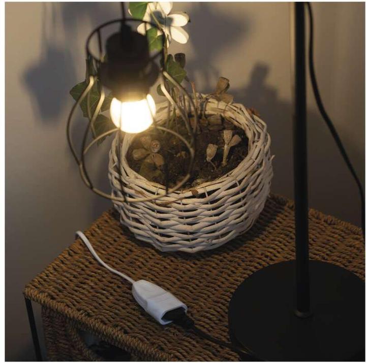 Actual product image Emos 2WIRE CORD SET 5M 2,5A (5 m)