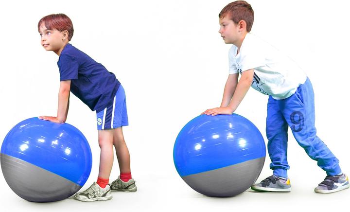 Productafbeelding Trial Bal Boa Bal (50 cm)