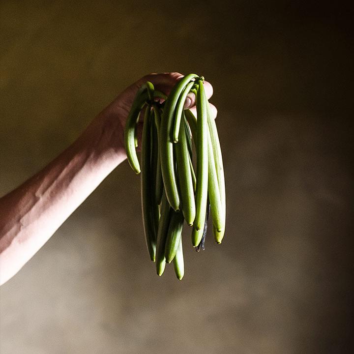 Actual product image 1001 Organic Vanilla Pods