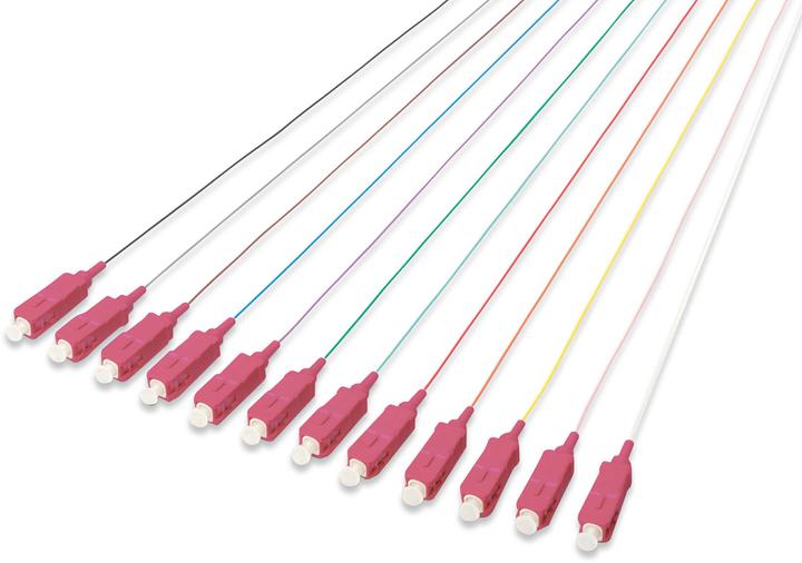 Digitus SC/UPC 0.9mm 12 color LSZH pigtail Multimode 50/125um Class OM4 2m Steckerfarbe RAL4003 (LSOH, CAT8.2, 2 m)