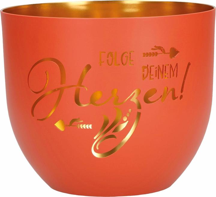 Actual product image Follow your heart!