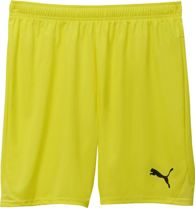 Image du produit Puma teamGOAL Short Jr (164)