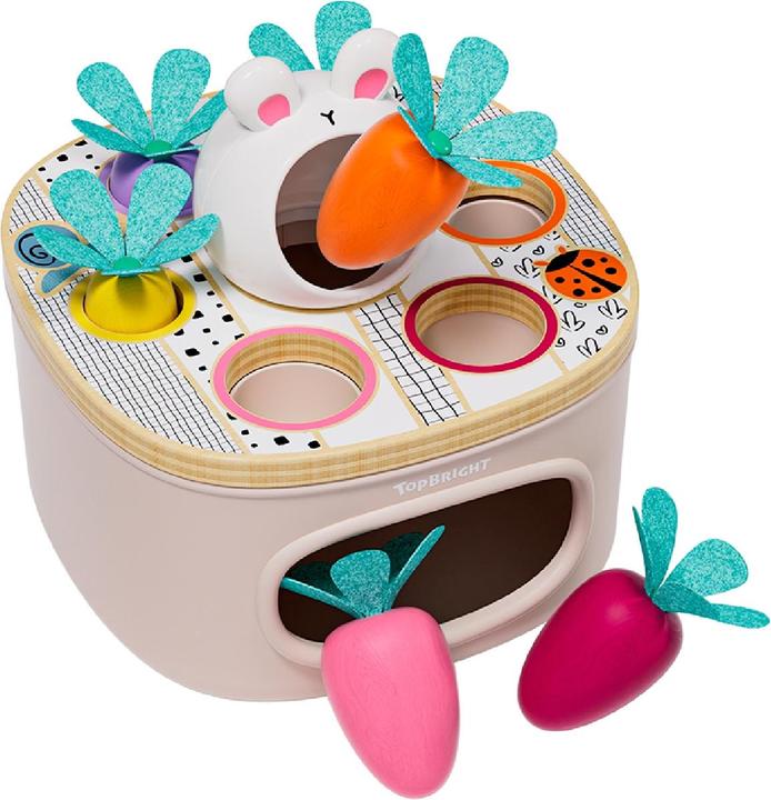 Produktbild Topbright Toys Sortierspiel Karotten