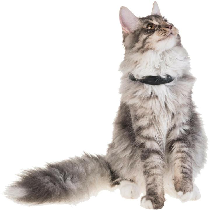 Produktbild PetTracer Katzen-GPS-Ortungsgerät (Katze, Allgemein)