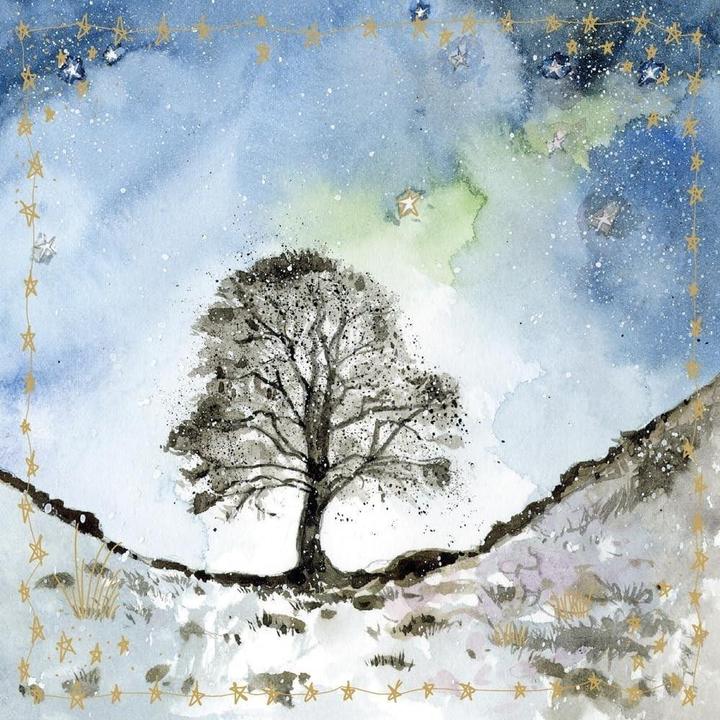 Alex Clark Art Karte S561 Baum