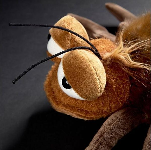 Image du produit Sigikid Cafard Chacca Cacalaca (11 cm)