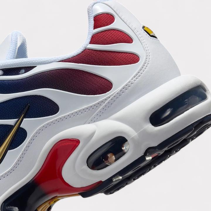 Image du produit Nike Air Max Plus (39)