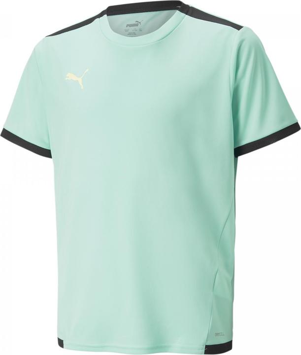 Productafbeelding Puma teamLIGA Jersey Jr-704925 (116)