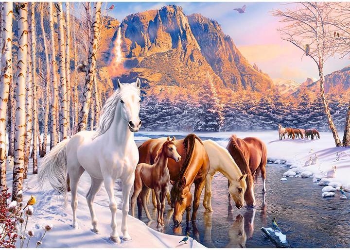 Immagine prodotto Castorland Puzzle di scioglimento invernale 500 pezzi (500 pezzi)