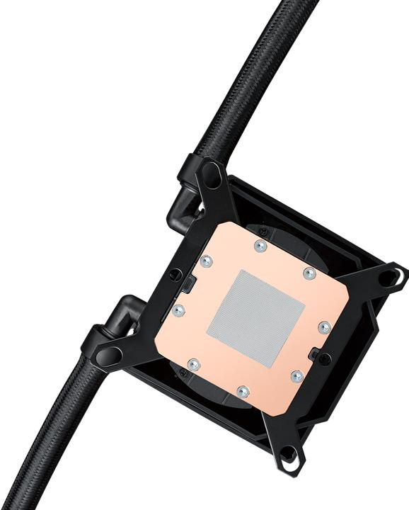 Actual product image ASUS ROG RYUJIN III 240