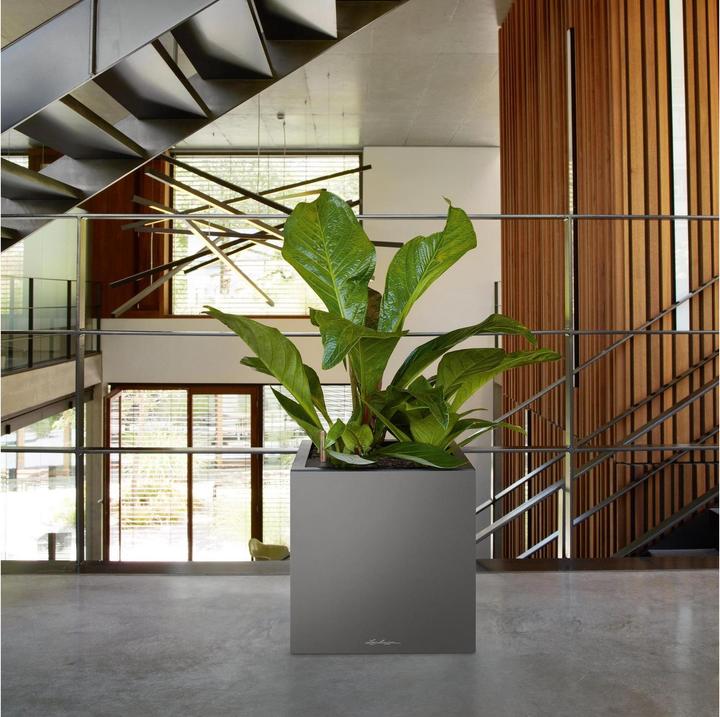 Actual product image Lechuza CANTO Premium 40 low anthracite metallic (40 x 40 x 40 cm)
