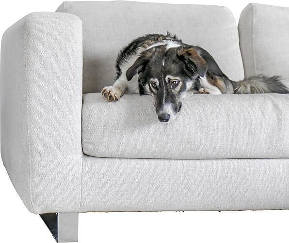 Image du produit Steba KH 4 (1800 W)