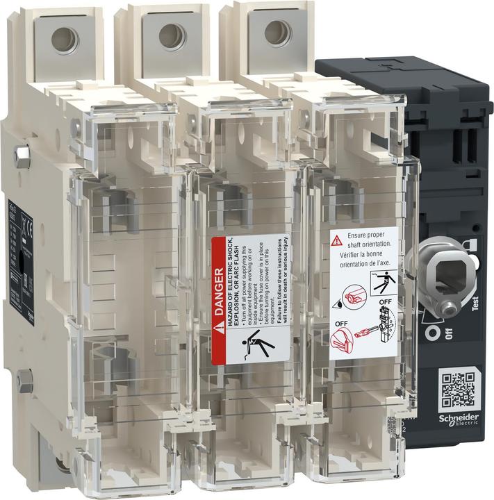 Actual product image Schneider Electric FUSE SWITCH 3X 125A 22X58