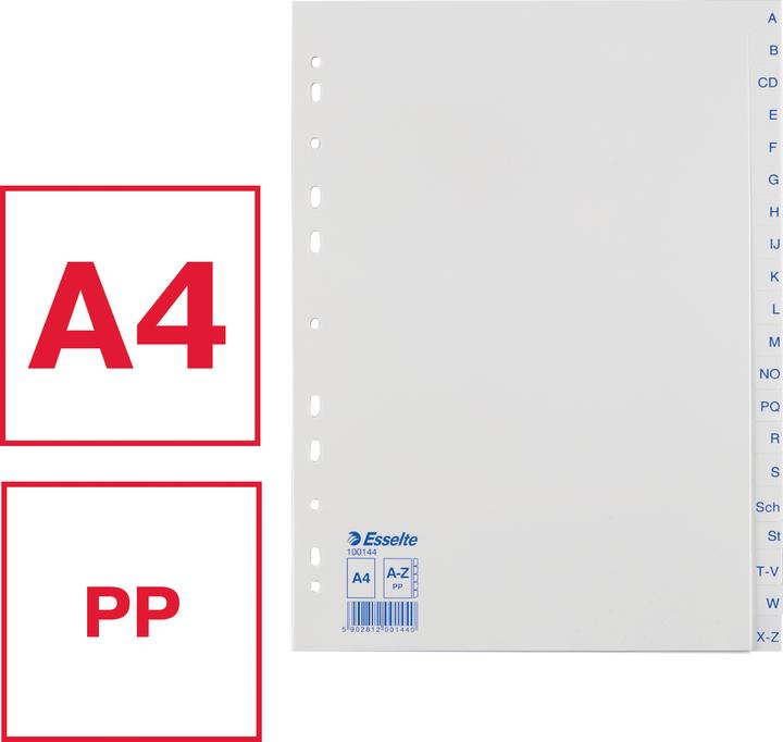 Produktbild Esselte Plastikregister Economy