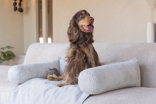 Productafbeelding Designed by Lotte Bankkussen Geribd (Hond)