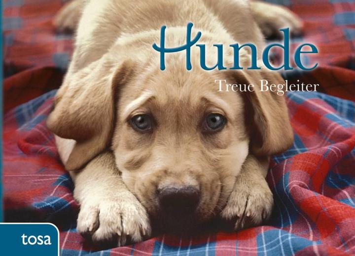 Produktbild Hunde (Deutsch, 2012)