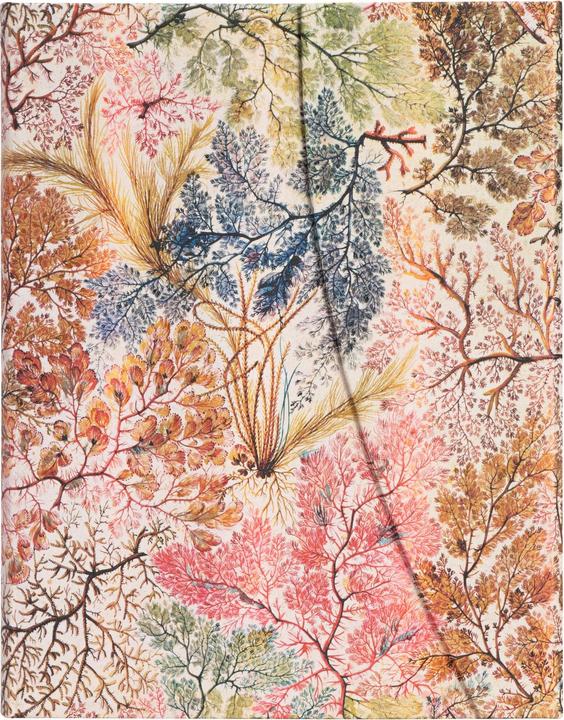 Image du produit Paperblanks Carnet de notes PB Ultra lin.Anemone (À rayures, Couverture rigide)