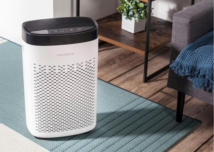 Actual product image Rowenta Pure Air Essential PU2530F0 (90 m²)