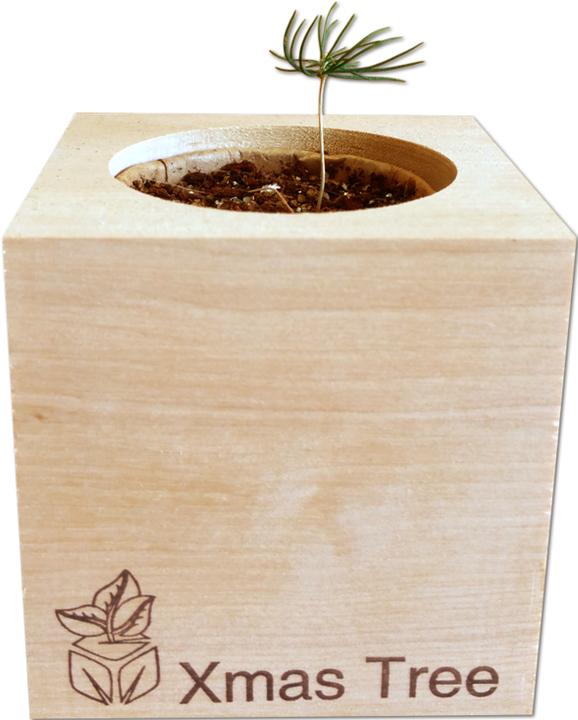 Image du produit Feel Green Ecocube (Graines de plantes)