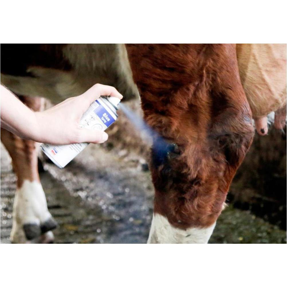 Thumbnail - AgroChemica Chinoseptan Blauspray (Hund, 400 ml), Tierpflegemittel