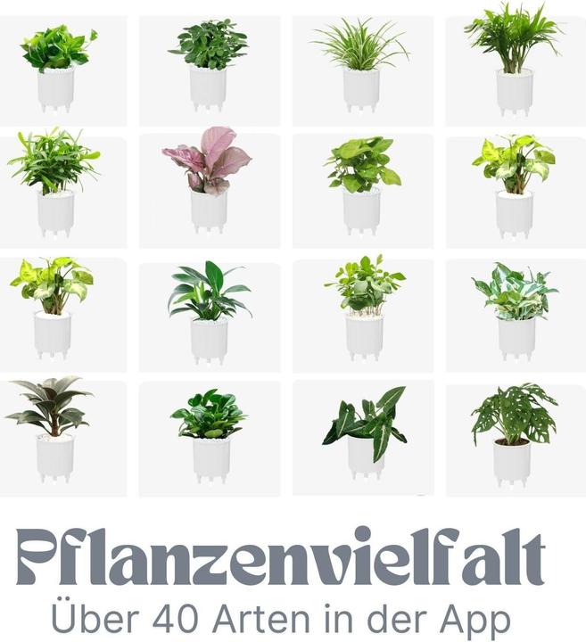 Image du produit Hermex USB-Pflanzenübertopf (9 x 11 x 9 cm)