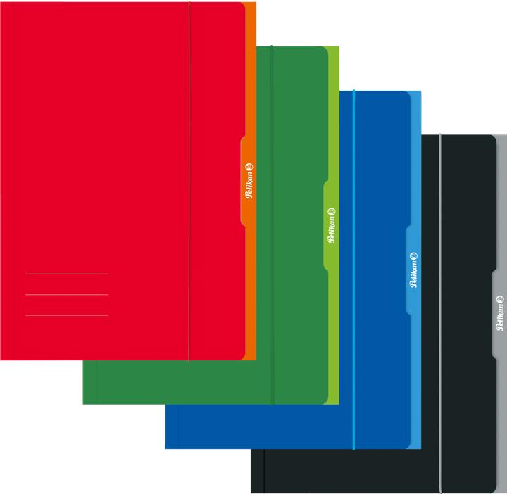 Actual product image Pelikan Folder, drawing folder folder A4 assorted colours FSC (A4, 1 x)