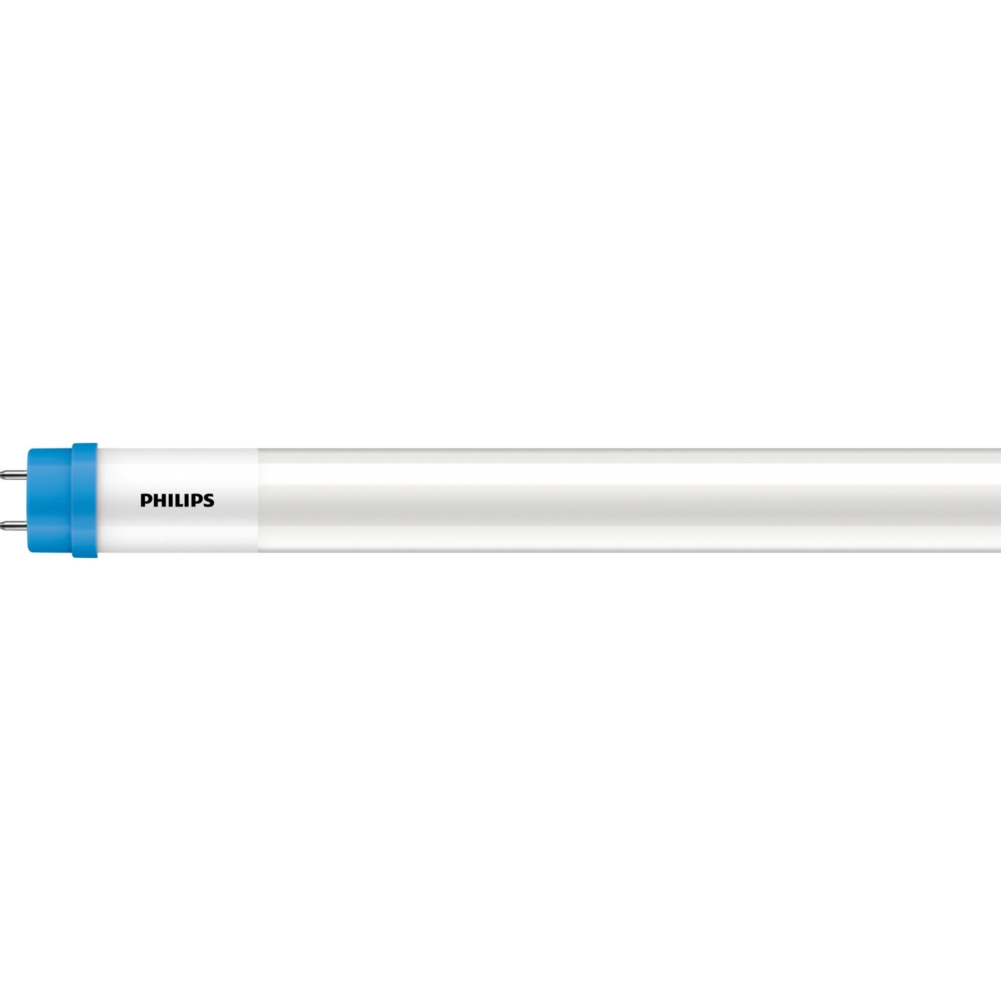 Philips, Leuchtmittel, Leuchtstoffröhre (G13, 8 W, 850 lm, 1 x, E)