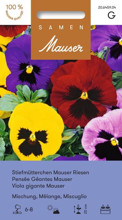 Image du produit Samen Mauser Mélange géant de Pansy Mausers (Graines de plantes)