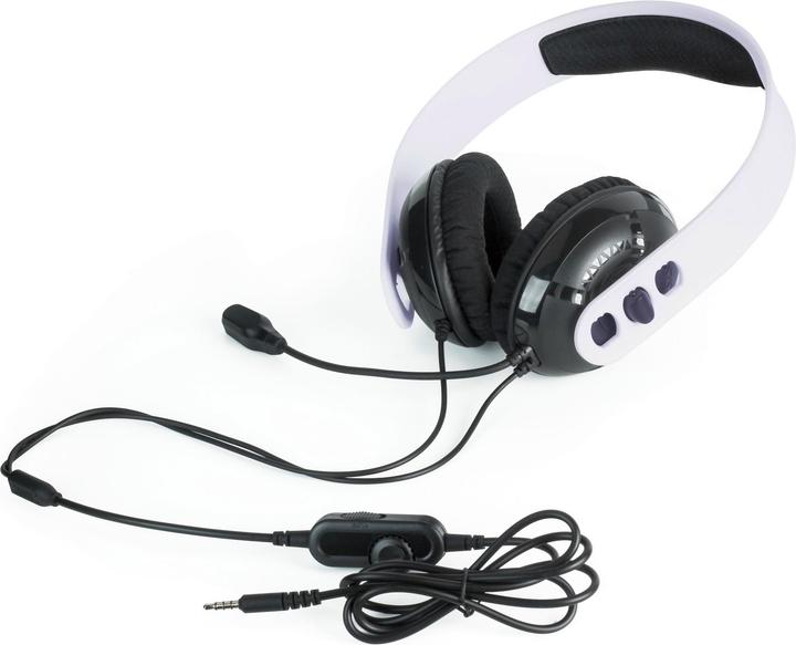 Actual product image Raptor Gaming H200 (Cable)