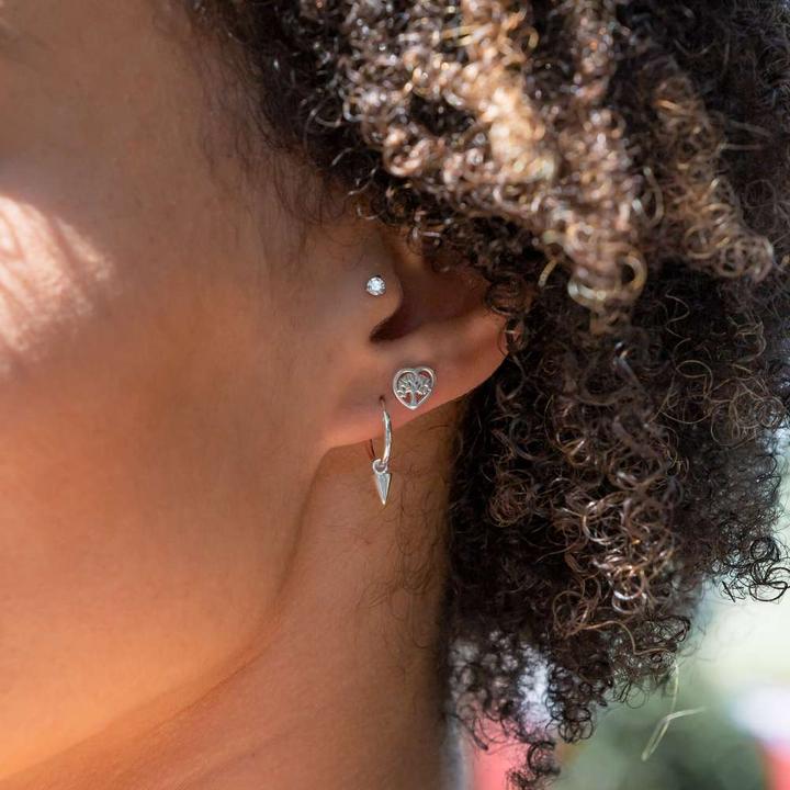 Immagine prodotto Bijouteria Orecchini (Argento 925)